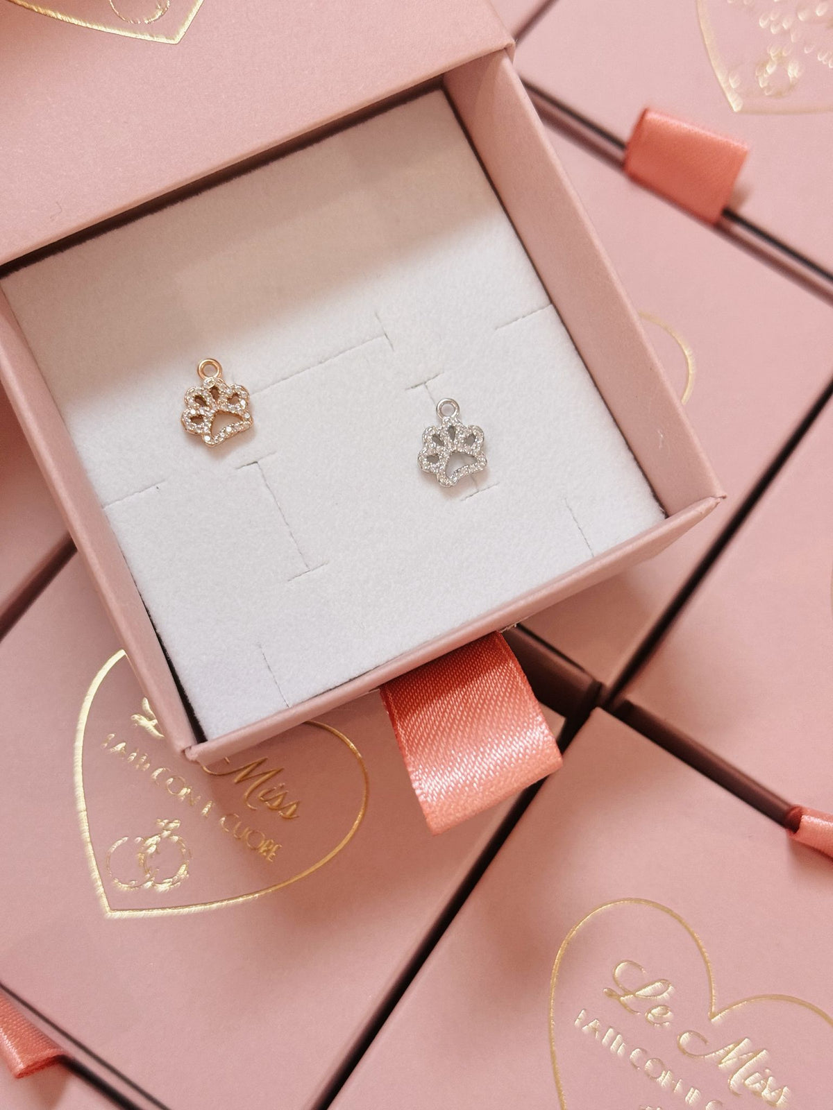 Charm zampetta zirconi
