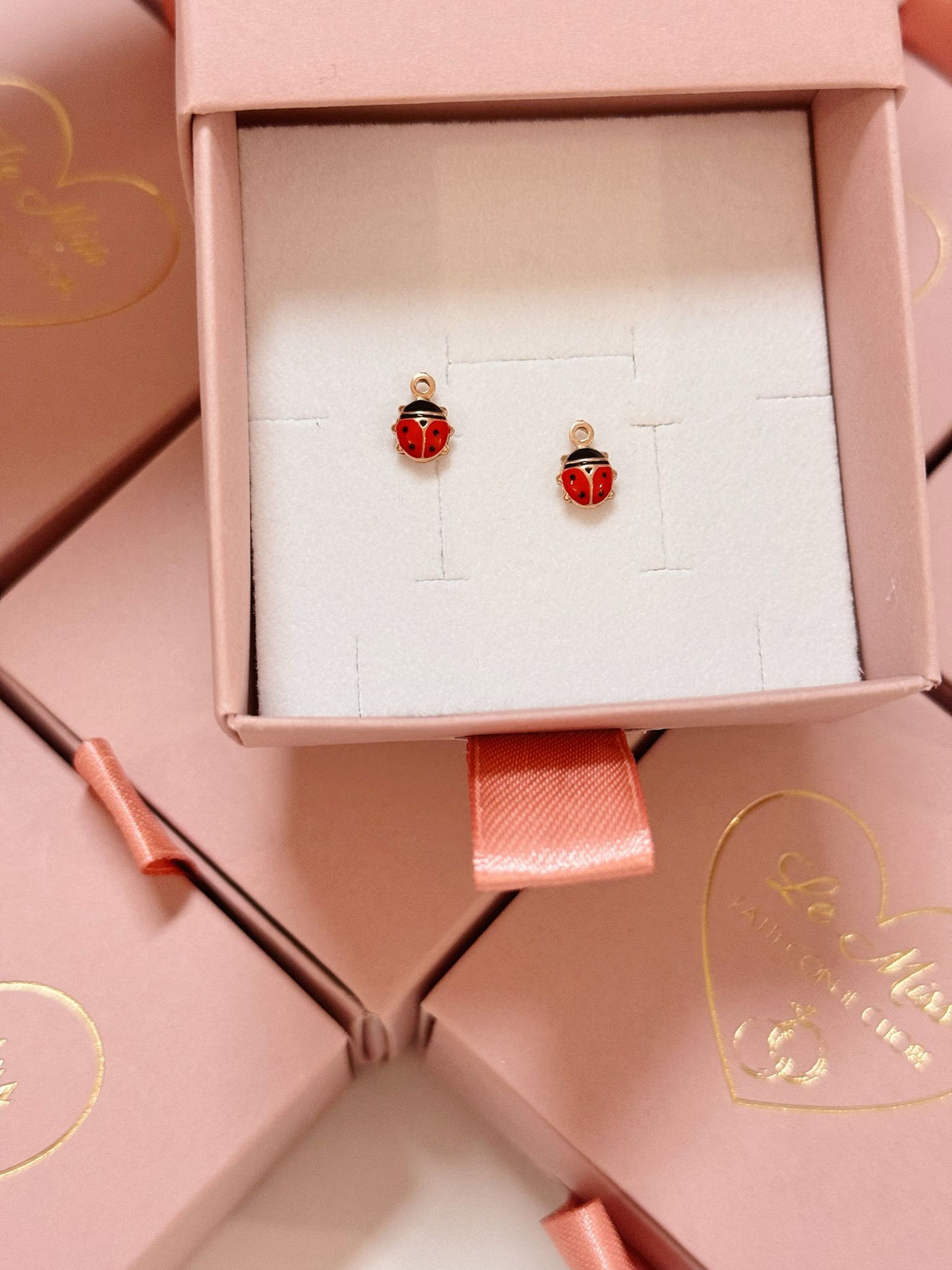 Charm coccinella